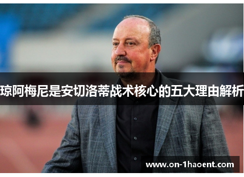 琼阿梅尼是安切洛蒂战术核心的五大理由解析