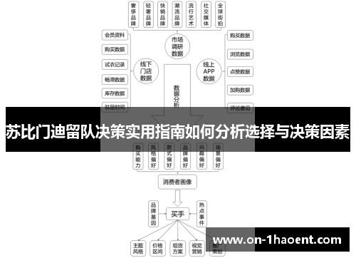 苏比门迪留队决策实用指南如何分析选择与决策因素