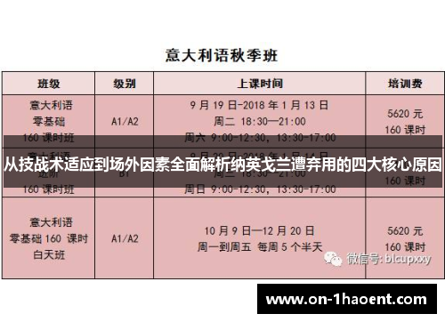 从技战术适应到场外因素全面解析纳英戈兰遭弃用的四大核心原因 从技战术适应到场外因素全面解析纳英戈兰遭弃用的四大核心原因