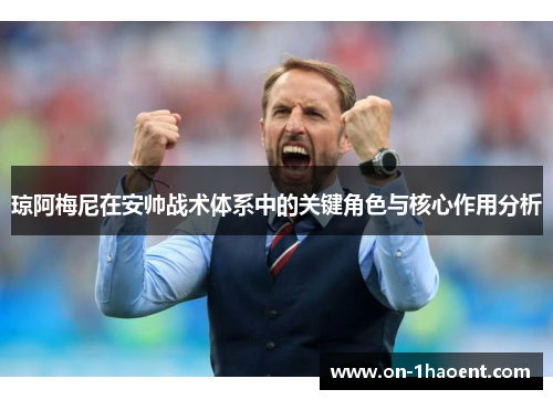 琼阿梅尼在安帅战术体系中的关键角色与核心作用分析 琼阿梅尼在安帅战术体系中的关键角色与核心作用分析