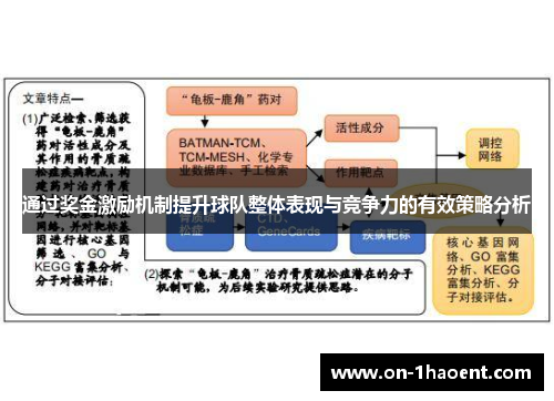 通过奖金激励机制提升球队整体表现与竞争力的有效策略分析